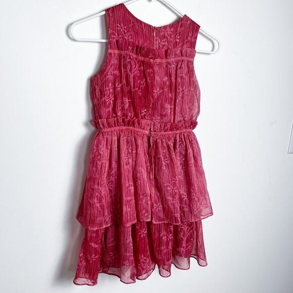 Chasing Fireflies Rose Crinkle Dress Girls 8 Party Holiday Fairy - Picture 7 of 13